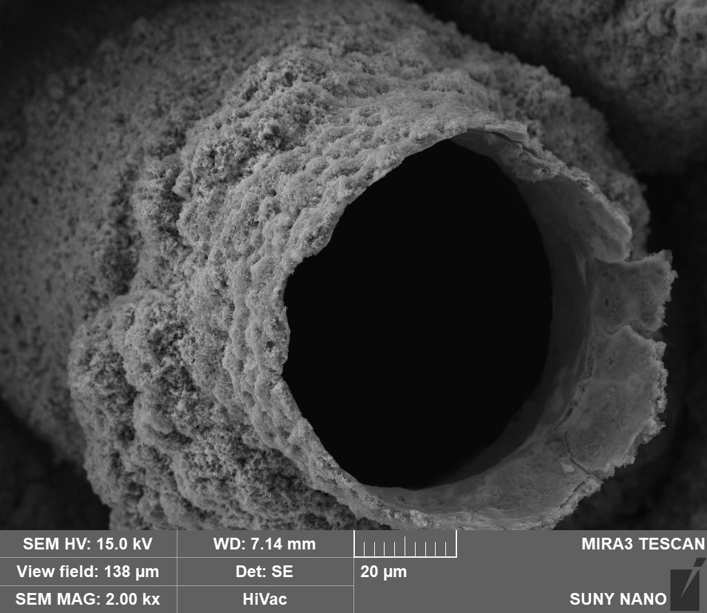 ZnO Grown via Electrodeposition
